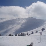 2008-Uludag-1